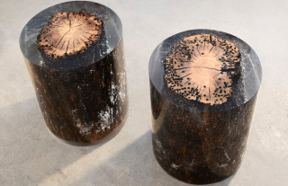Illustration for article titled The Natural Moss on This Wooden Bookcase Is Preserved Forever in Resin